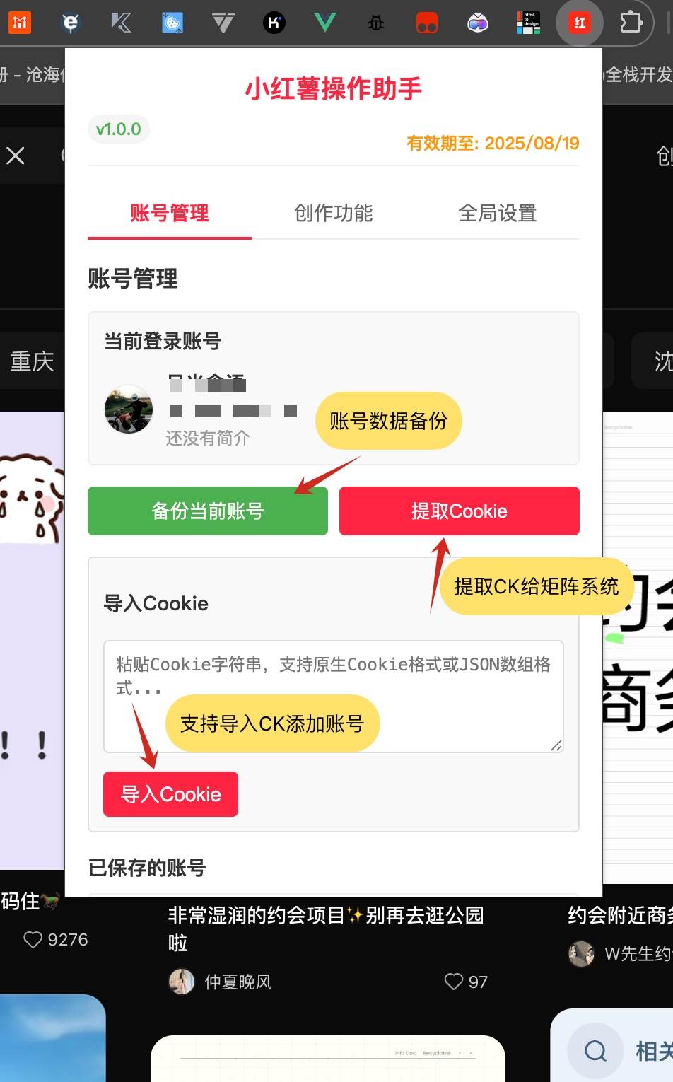 账号管理与Cookie操作界面